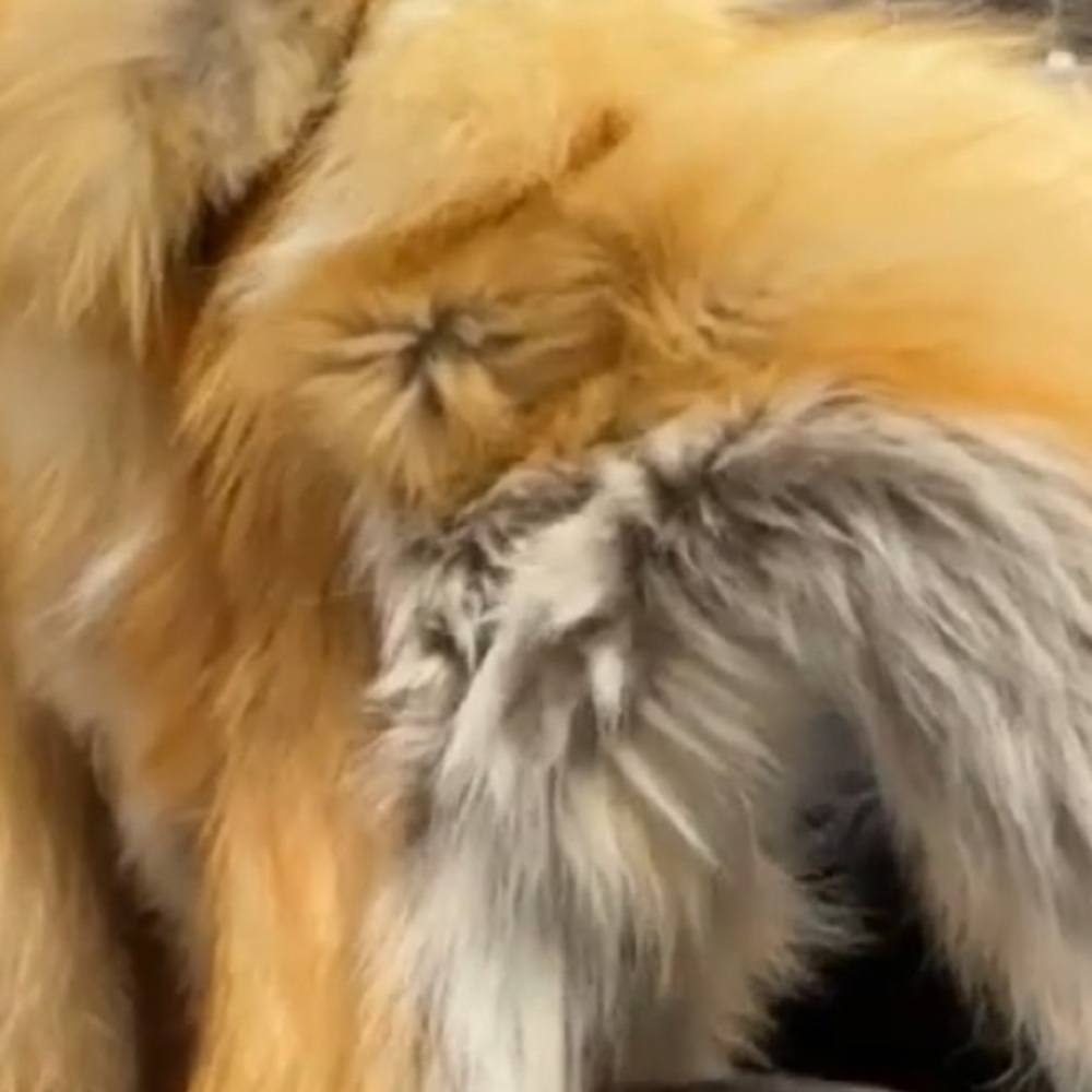Cawley Women's Red Fur - Picture 3 of 5